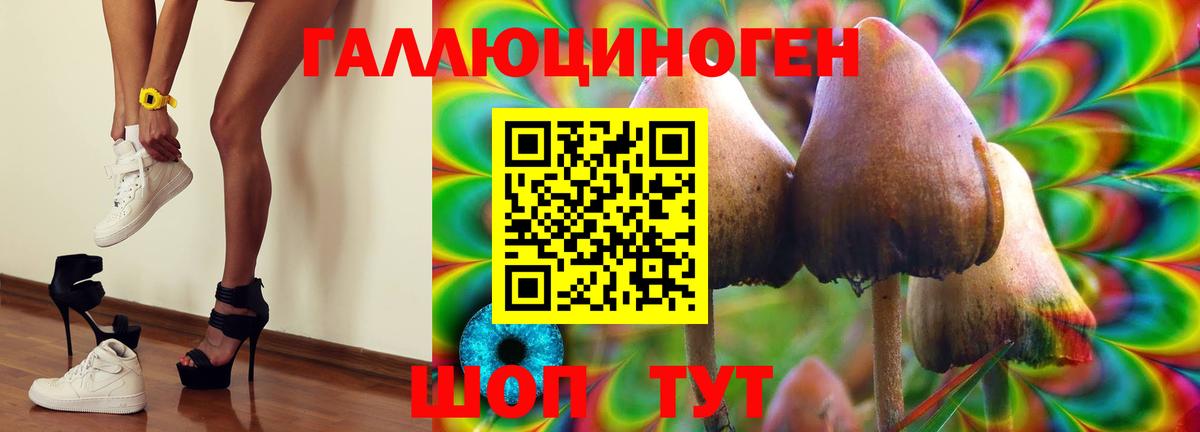 Псилоцибиновые грибы GOLDEN TEACHER  Вход с VPN  Семилуки 